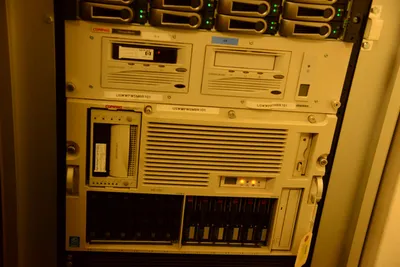 DSC_1363 (Large).JPG